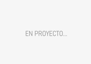 en proyecto